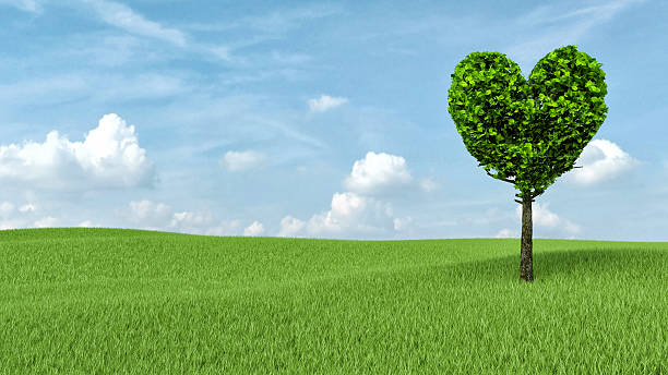 istock Tree in the shape of heart 474714274