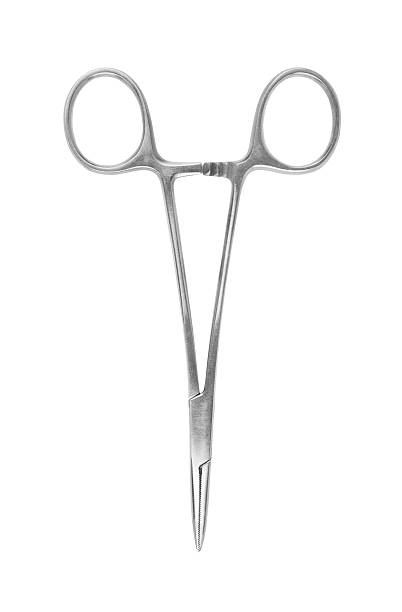 istock dental scissors isolated on a white background 474714340