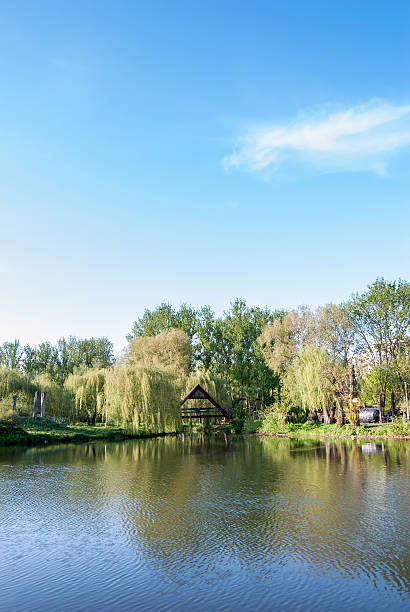 istock Beautiful pond in the park. spring time 474715334