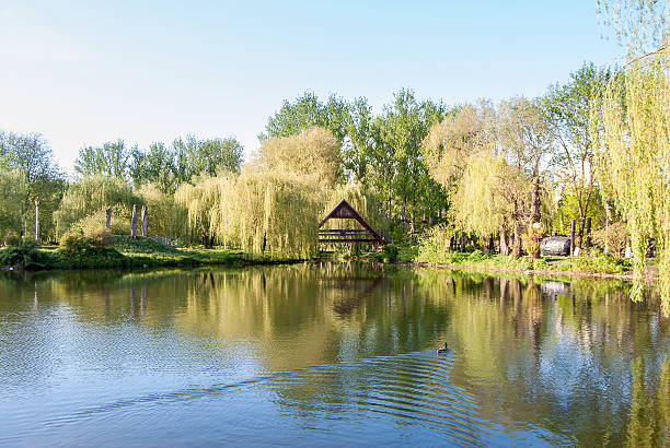 istock Beautiful pond in the park. spring time 474715336