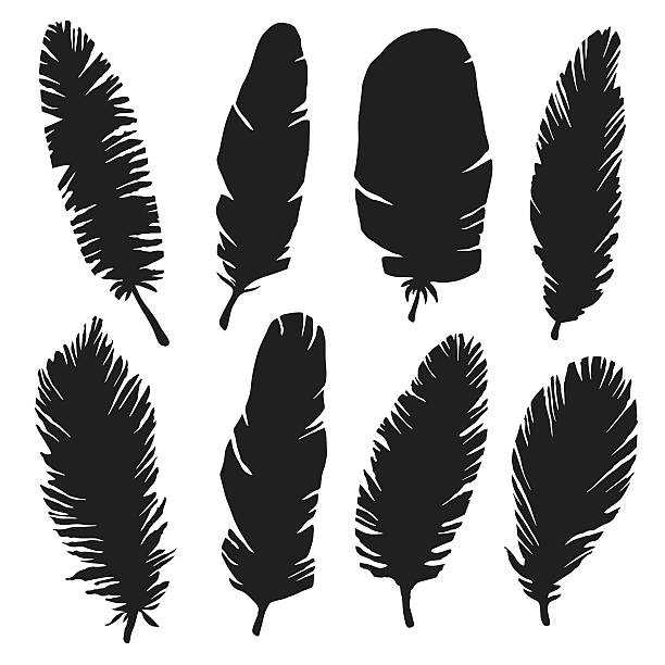 Hand drawn bird feathers, black silhouettes Hand drawn bird feathers, black silhouettes closeup isolated on white background set. Art scrapbook elements, sketch - vector artwork turkey tattoo stock illustrations