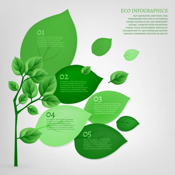 05 Infographics Bio Tree The illustration of beautiful bio infographics with leaves and tree. Ecology concept. Vector image. energy conservation posters drawing stock illustrations