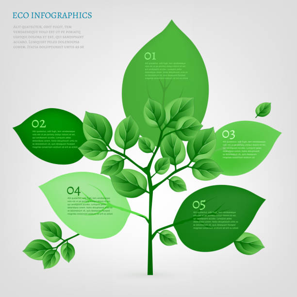 Tree Bioo 1,700+ Tree With Branches Infographic Illustrations, Royalty-Free ...