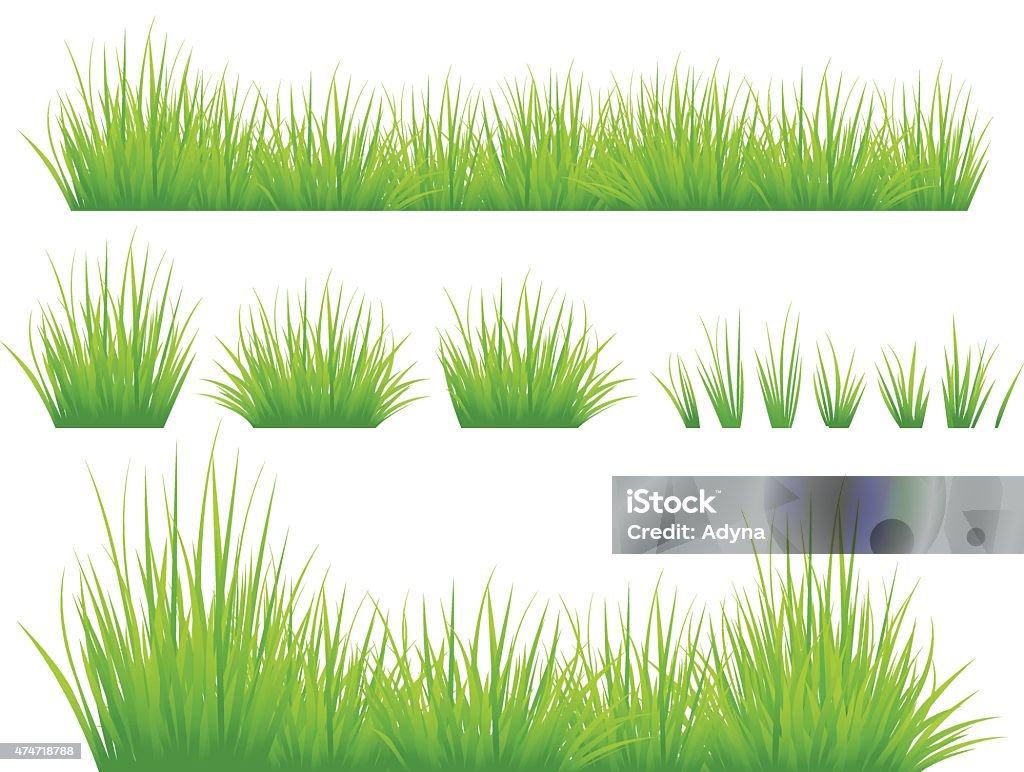 Spring Grass Set of Green Grass Isolated on White. EPS8. Grass stock vector