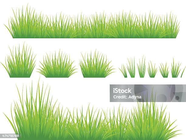 Spring Grass Stock Illustration - Download Image Now - Grass, Vector, Lawn