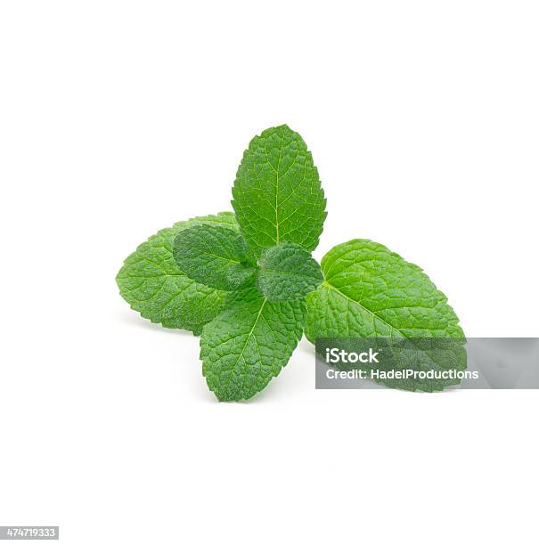 Green Mint Stock Photo - Download Image Now - Mint Leaf - Culinary, White Background, Studio Shot