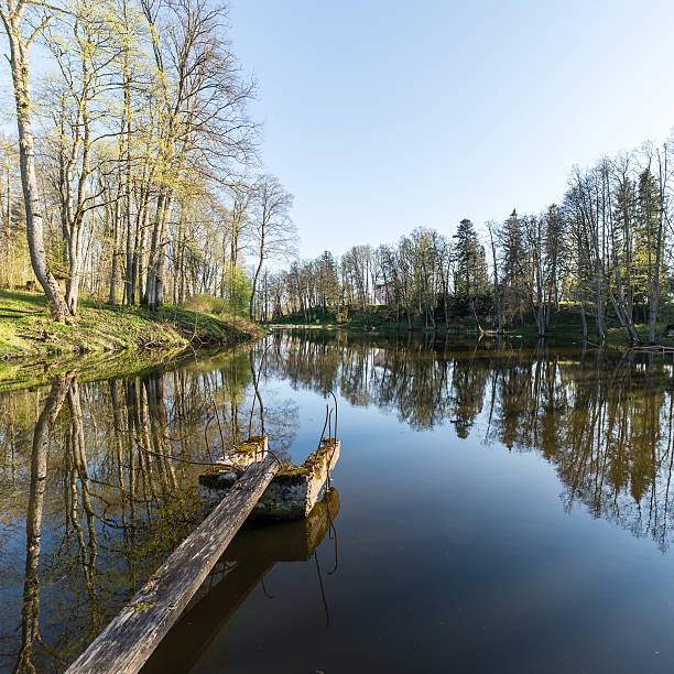 istock scenic reflections of trees and clouds in water 474720176