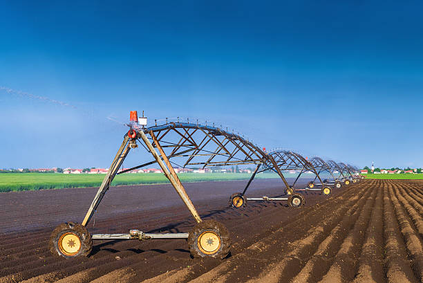 istock Automated Farming Irrigation Sprinklers System in Operation 474723452