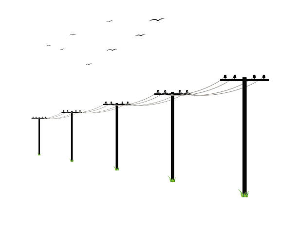 high voltage power lines high voltage power lines and birds on white background transformer electricity stock illustrations