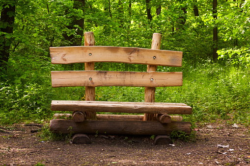 Wooden bench with backrest in a forest. Spring season. Green vegetation around.