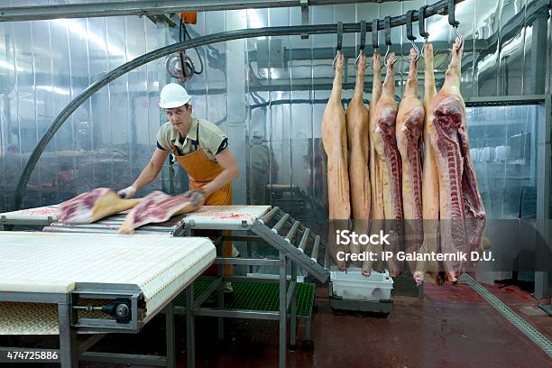 Butcher Cutting Meat On The Food Processing Plant Stock Photo - Download Image Now - 2015, Activity, Agricultural Machinery