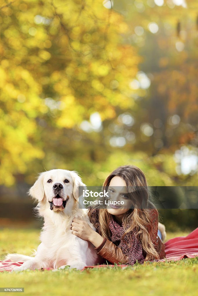 Young female in a park with her dog Young female in a park with her labrador retriever dog 20-29 Years Stock Photo