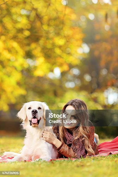 Young Female In A Park With Her Dog Stock Photo - Download Image Now - 20-29 Years, Adult, Adults Only