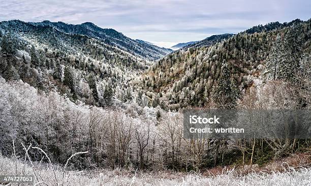 겨울맞이 빠삐용 Smoky Mountains 겨울에 대한 스톡 사진 및 기타 이미지 - 겨울, 그레이트 스모키 산맥, 그레이트 스모키 산맥 국립 공원