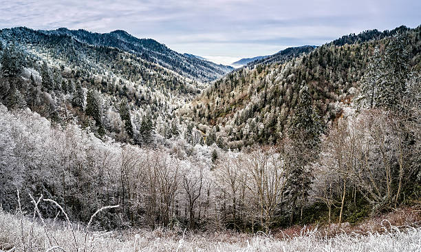 Smoky Mountains Winter Panoramic Heavy snowfall blankets the Smoky Mountains in a  panoramic view from Morton Overllook. newfound gap stock pictures, royalty-free photos & images