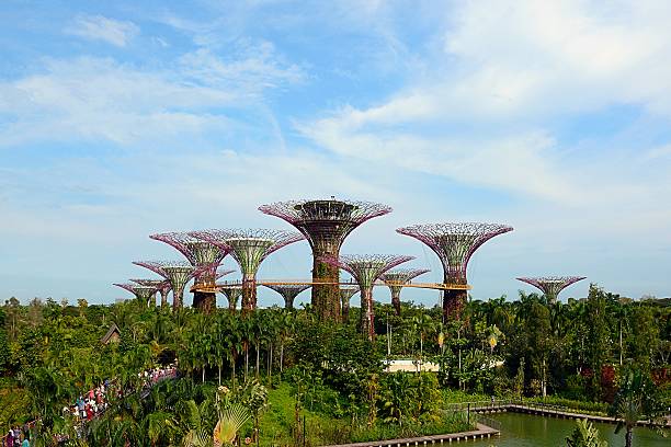 jardins de la baie singapour - gardens by the bay photos et images de collection