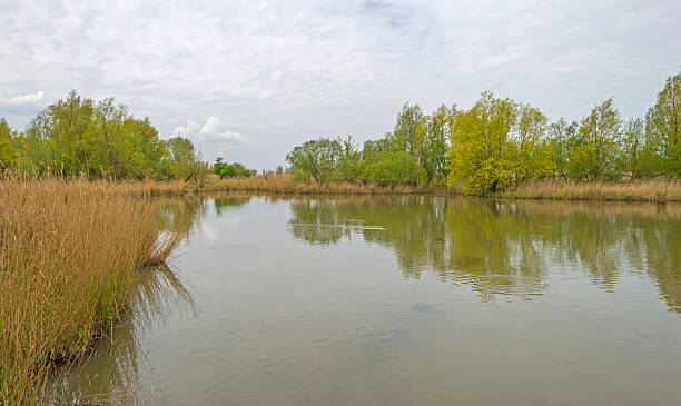 istock The shore of a river in spring 474731770