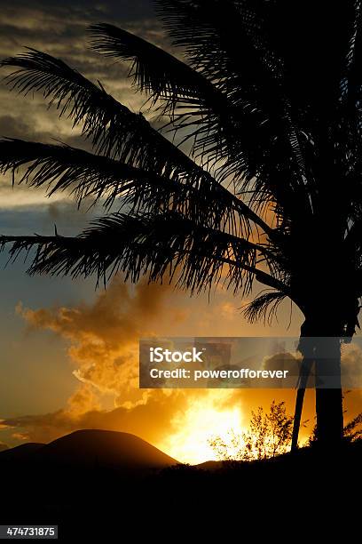 Easter Island Sonnenaufgang Stockfoto und mehr Bilder von Baum - Baum, Chile, Dramatischer Himmel