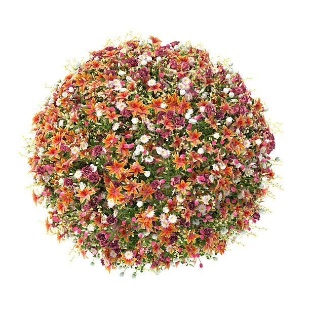 istock flower ball on a white background 474732764