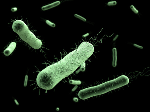 Bacteria isolated on black background
