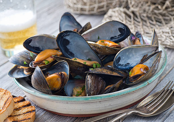 Steamed Mussels A bowl of delicious steamed mussels with grilled bread and beer on a rustic tabletop with fish net. steamed photos stock pictures, royalty-free photos & images