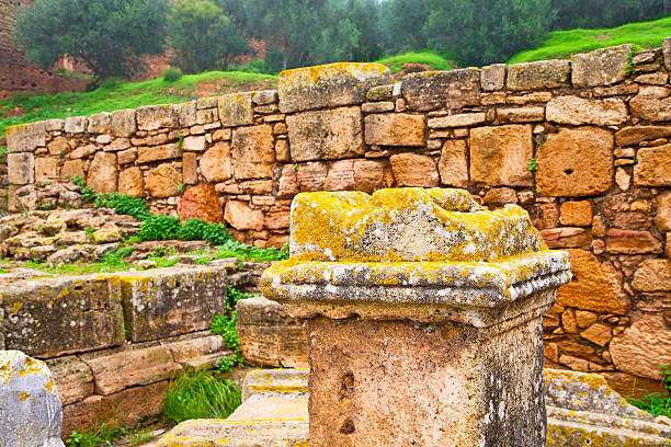 chellah  in morocco africa the old roman deteriorated monument and site
