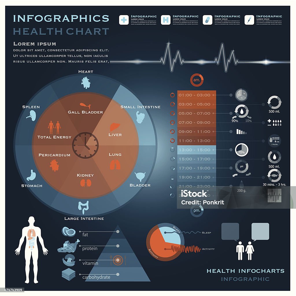 Биологические часы здравоохранения и медицинские Инфографика Infocharts - Векторная графика Биология роялти-фри