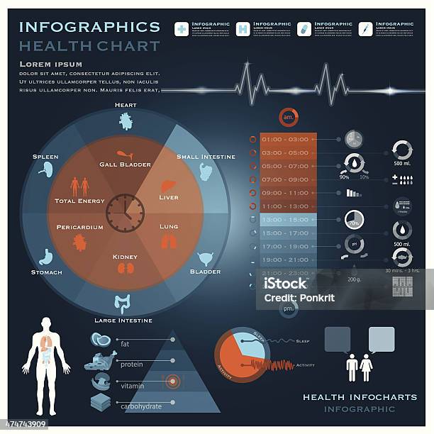 Биологические Часы Здравоохранения И Медицинские Инфографика Infocharts — стоковая векторная графика и другие изображения на тему Биология
