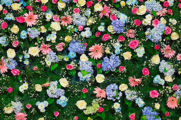 istock Background of Beautiful flower wedding decoration 474746566