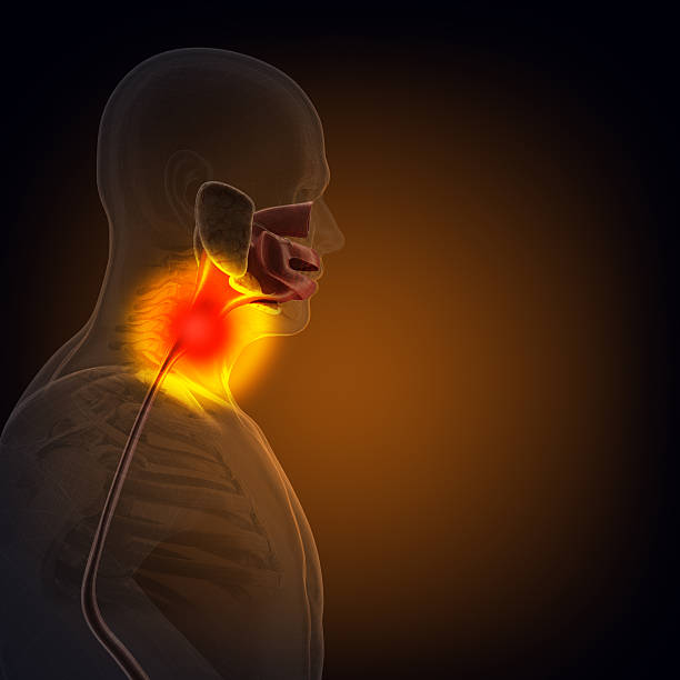 istock The human body (organs) by X-rays on black background 474748594