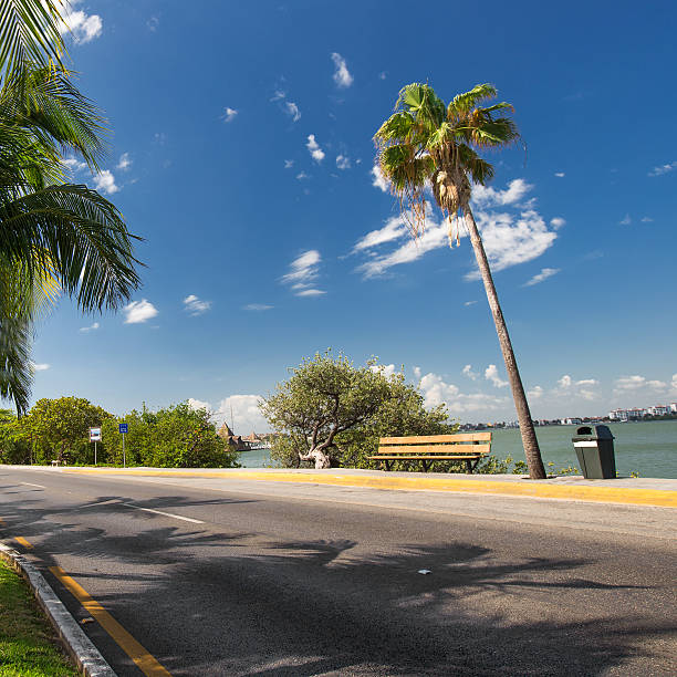 istock Caribbean street with palms 474749620