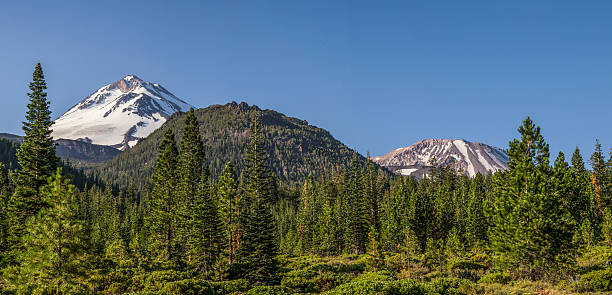 istock Shasta and Shastina panorama 474753024
