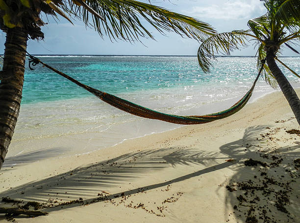 istock Two palms, one hammaock and the Caribbean Sea 474754380