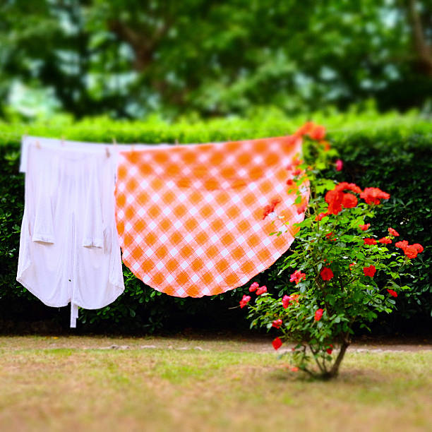 istock Clothes drying in the nature 474757226