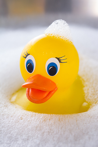 Yellow rubber duck floating in soap suds