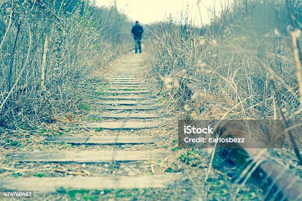 Railroad Track Stock Photo - Download Image Now - 2015, Abandoned, Adult