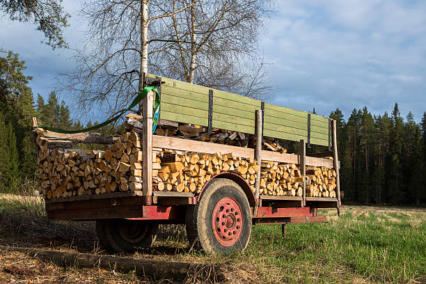tractor trailer full of firewood. countryside backround.