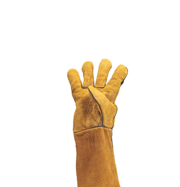 istock hand in leather work gloves Isolated on a white background.count 474764280