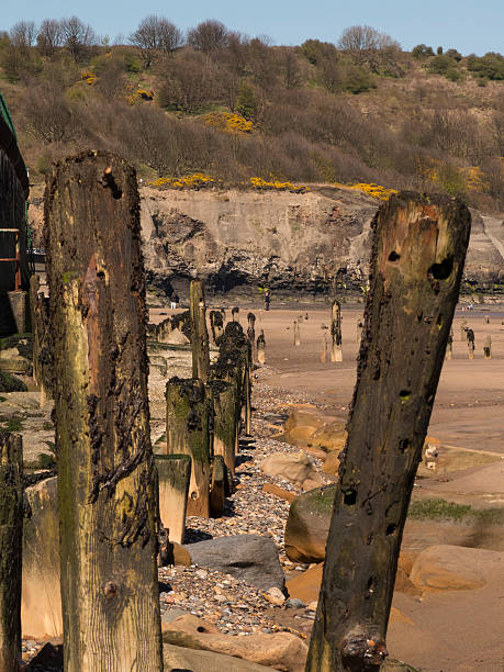 istock old wooden pilings on the beach at Sandsend,Yorkshire 474768048