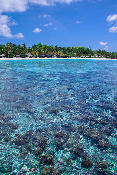 istock Tropical Maldivian Island 474768414