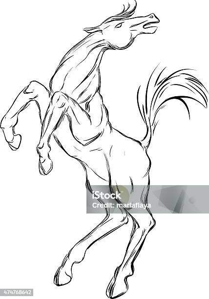 Sketch Of Horse Stock Illustration - Download Image Now - 2015, Animal, Animal Wildlife