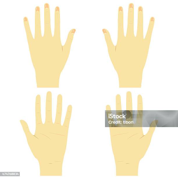 Left Hand Front View Hands Front And Back Right And Left Stock Illustration - Download Image ...