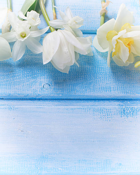 istock Background with fresh spring white and yellow flowers 474768978