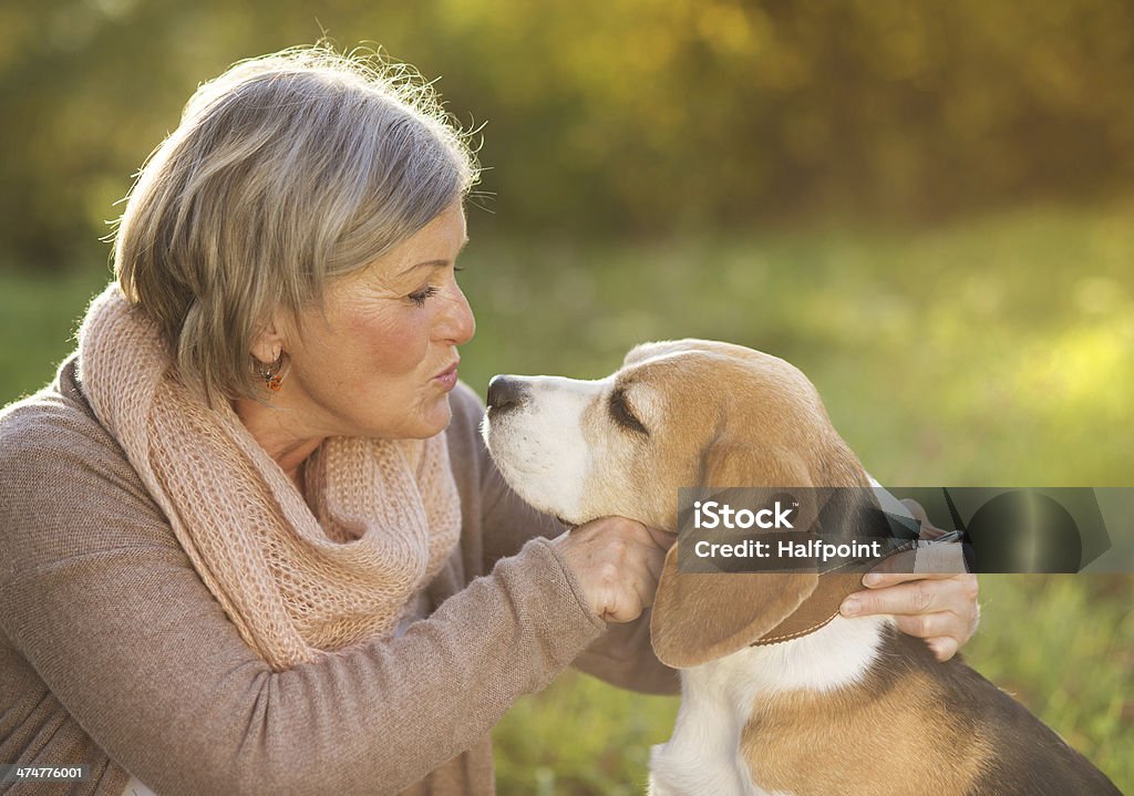 Active senior woman hugs dog Senior woman hugs her beagle dog in countryside Dog Stock Photo