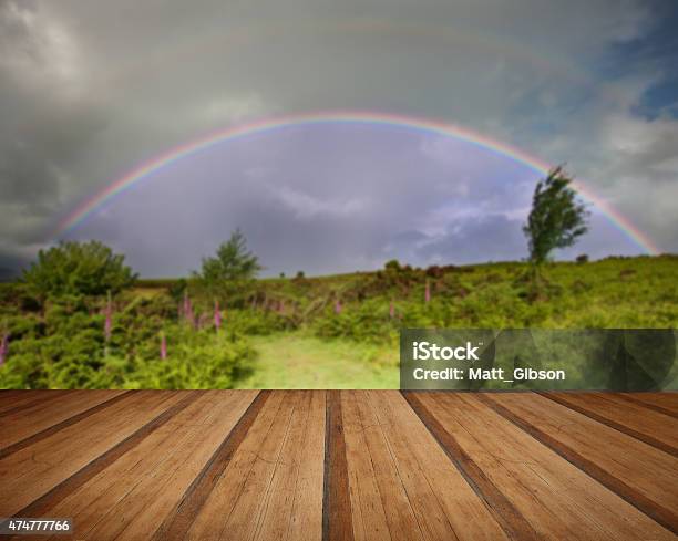 Rainbow In Stromy Sky Above Landscape Of Foxgloves Stock Photo - Download Image Now - 2015, Agricultural Field, Beauty
