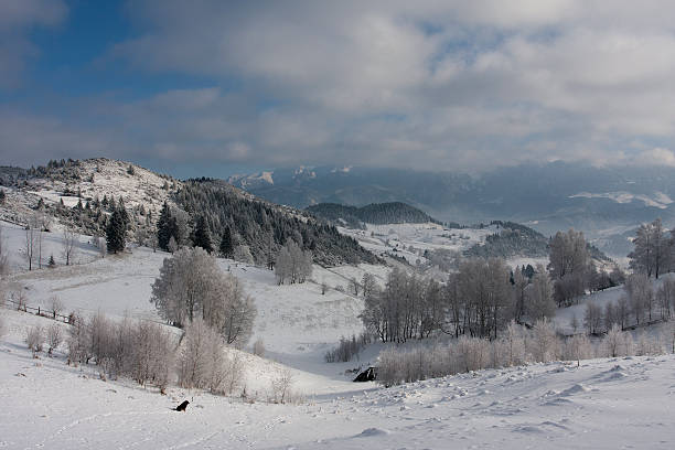 Winter landscape stock photo