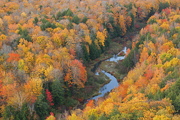 istock Autumn Forest Lake of the Clouds 474781570