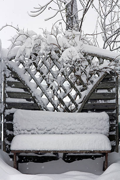 no inverno - hausdach imagens e fotografias de stock