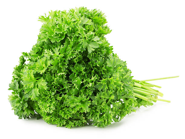 istock bunch of parsley isolated on a white background 474784800