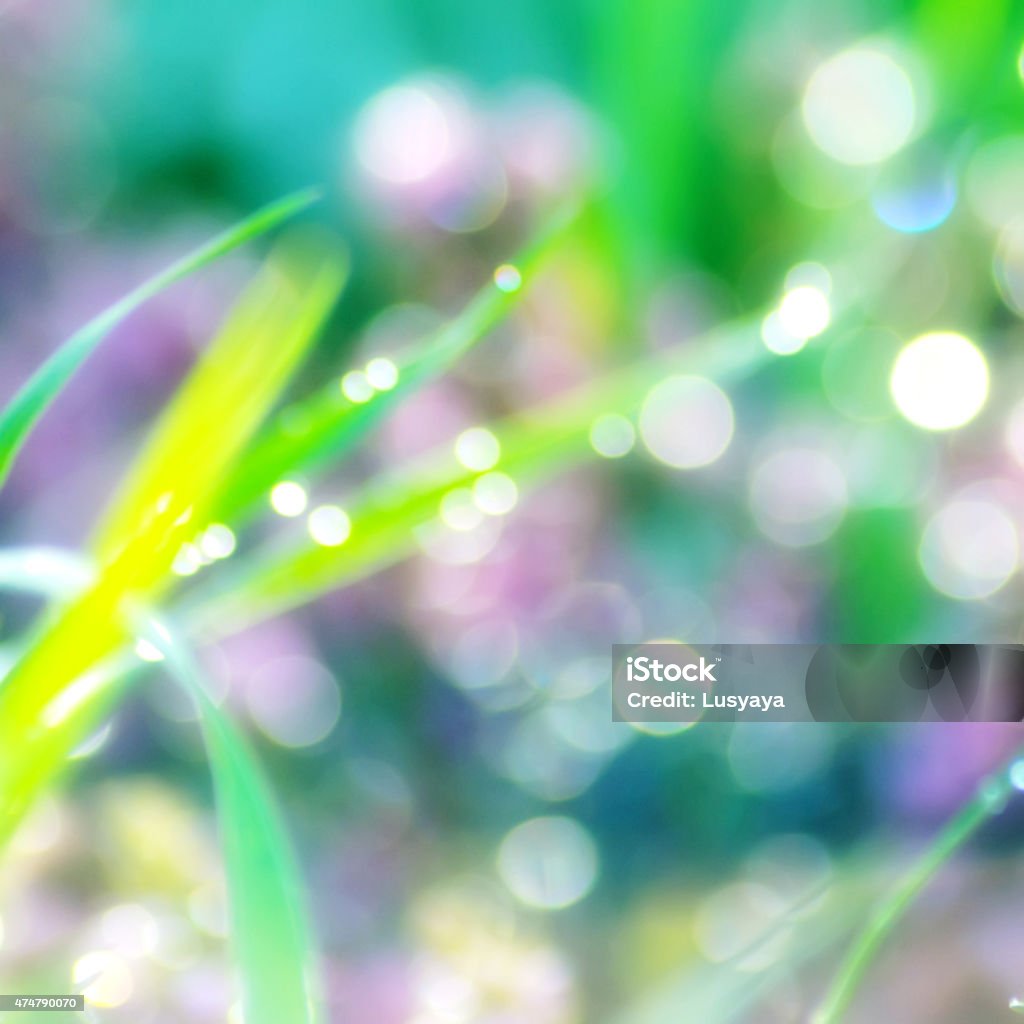 abstract natural green blurred background and boken 2015 Stock Photo